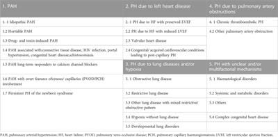 Role of histone lactylation interference RNA m6A modification and immune microenvironment homeostasis in pulmonary arterial hypertension